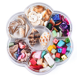 Perles naturelles de coquillages d'eau douce et de coquillages, plat rond & chips & cube & nuggets & shell, couleur mixte, 7~27x7~20x1~15mm, Trou: 1mm, environ 7 style/boîte