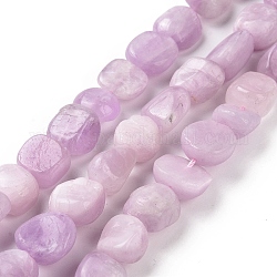 Natural Kunzite Beads Strands, Nuggets, 11~14x11~12x6.5~8mm, Hole: 0.8mm, about 35pcs/strand, 15.94''(40.5cm)