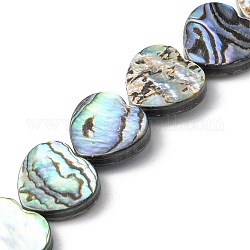 Naturelles Paua brins de perles, cœur, 12~13.5x12.5x3mm, Trou: 0.5mm, Environ 33 pcs/chapelet, 14.96 pouce (38 cm)