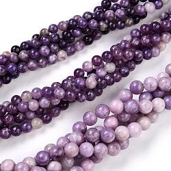 Fili di perle di pietra mica naturale di lepidolite / viola, tondo, 8~8.5mm, Foro: 1 mm, circa 48pcs/filo, 15.47 pollice (39.3 cm)