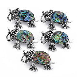 Elephant Alloy Rhinestone Brooch, Natural Paua Shell Lapel Pin with Loop for Backpack Clothes Pendant Jewelry, Cadmium Free & Lead Free, Antique Silver, Colorful, 29x46x14mm, Hole: 7x4mm, Pin: 0.7mm