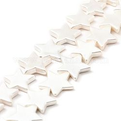 Chapelets de perles de coquillage naturel, étoiles du nord, couleur de coquillage, 14~18x13~16x3~3.5mm, Trou: 1mm, Environ 32 pcs/chapelet, 15.94 pouce (40.5 cm)