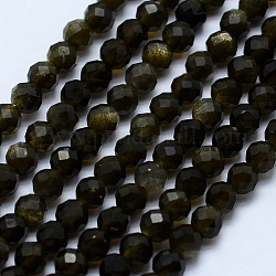 Naturale lucentezza dorata perle di ossidiana fili, sfaccettato, tondo, 3~3.5mm, Foro: 0.5 mm, circa 130~138pcs/filo, 15.7 pollice (40 cm)