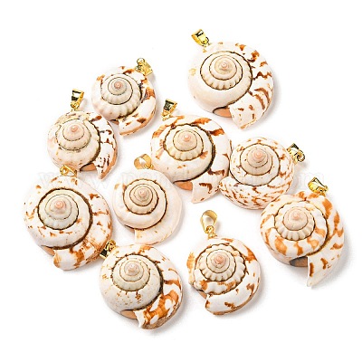 Charm-NATURAL Spiral Shell-Gold Plated