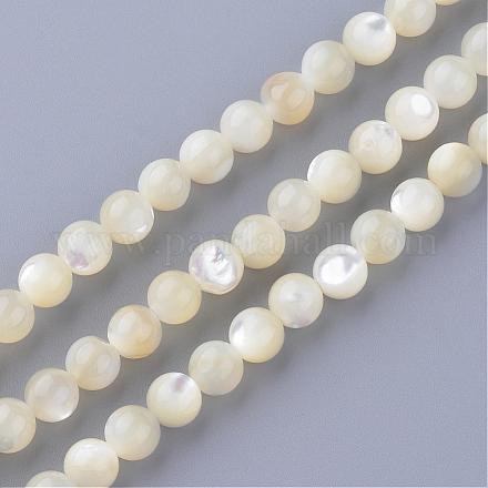 Chapelets de perles en coquillage naturel SSHEL-S252-03-1