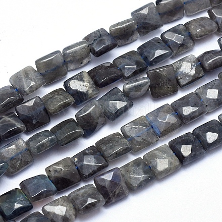 Natural Labradorite Beads Strands G-k223-65A-1