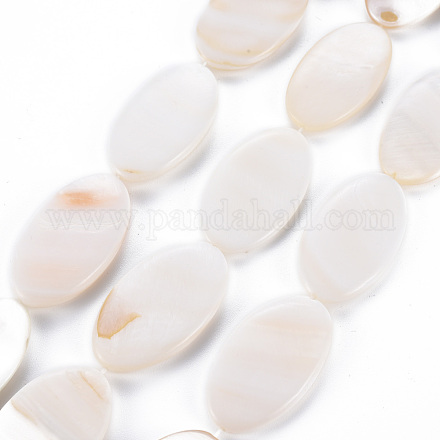 Eau douce naturelle de coquillage perles brins SHEL-N026-169-1