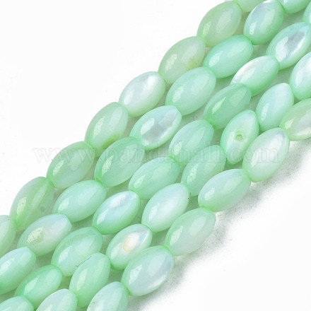 Eau douce naturelle de coquillage perles brins SHEL-N003-25-B03-1