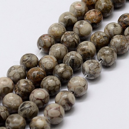 Fili di perline di pietra naturale maifanite/maifan G-P255-02-8mm-1