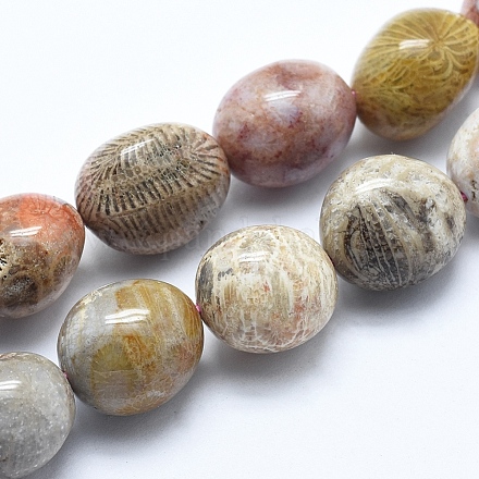 Chapelets de perles en pierre de chrysanthème naturel X-G-E483-75A-1