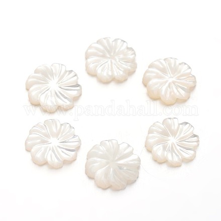 Цветок белой оболочки кабошоны SSHEL-I013-29-1