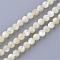 Natural Sea Shell Beads Strands, Round, 4~4.5mm, Hole: 1mm, about 86pcs/strand, 15.7 inch