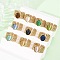304 Stainless Steel with Glass Cat Eye Cuff Rings for Women, Oval, Ion Plating(IP), Real 18K Gold Plated, Mixed Color, 11.5x9.5mm, US Size 8(18.1mm)