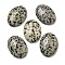 Natural Dalmatian Jasper Cabochons, Oval, 30x21.5~22x5~8.5mm