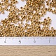 MIYUKI Delica Beads SEED-J020-DB0181-4