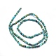 Natural Chrysocolla Beads Strands G-O172-09-2