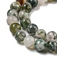 Natural Tree Agate Round Gemstone Beads Strands G-R255-6mm-2