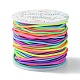 25m セグメント染色丸ゴムコード  ジュエリー作成用の虹色のゴム紐  カラフル  2.5mm EW-YW0001-13-2