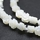 Shell normal de perles blanches de brins SSHEL-P015-01A-6mm-3