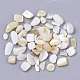Freshwater Shell Beads X-SHEL-S266-11-2