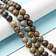 Chapelets de perles de jaspe dendritique naturelle G-E598-01-4