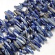Chips Natural Blue Aventurine Beads Strands G-P033-02-1