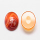 Oval Natural Carnelian Cabochons G-K020-14x10mm-05-1