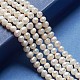 Natural Cultured Freshwater Pearl Beads Strands PEAR-L001-F-08-2