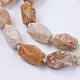 Natural Fossil Coral Beads Strands G-F554-09-3