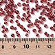 Perles de rocaille en verre SEED-A006-3mm-105B-3