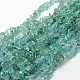 Natural Apatite Chip Beads Strands G-L154-23-1