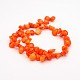 Dyed Synthetical Orange Coral Bead Strands G-J278-14-2