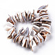 Natural Tiger Cowrie Shell Bead Strands SSHEL-N304-103-2