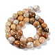 Natural Fossil Coral Beads Strands G-C038-02T-3