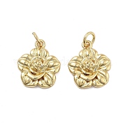 Латунные подвески KK-Q006-04G