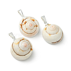 Pendentifs coquillages naturels shiva&nbsp;PALLOY-JF05393