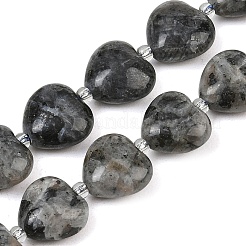 Perline labradorite naturale fili&nbsp;G-B022-32C-A
