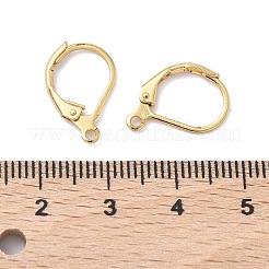 Латунная фурнитура Leverback для серег&nbsp;XGR0071G-48G