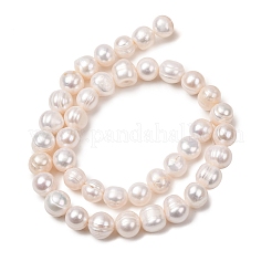 Fili di perle di perle d'acqua dolce coltivate naturali&nbsp;PA-CBABE82-13B
