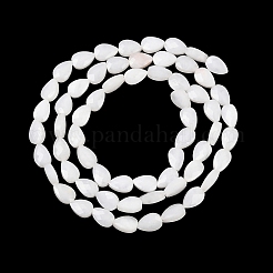 Натуральный белый лунный камень бисер пряди&nbsp;G-A303-A01-01