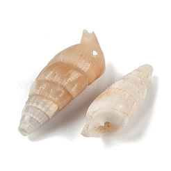 Natürliche Spirale Shell Anhänger&nbsp;SHEL-K009-17B