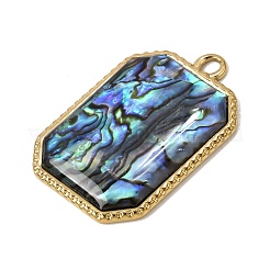 Pendentifs en acier inoxydable 304 et nacre d'ormeau naturelle&nbsp;SH-CBA7184-01C-G