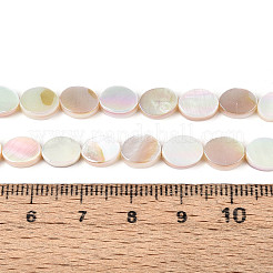 Нити бусин из натуральных пресноводных раковин с гальваническим покрытием&nbsp;SHEL-N038-27