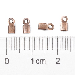 Eisenklapp Crimp-Enden&nbsp;IFIN-ZX994-R-01