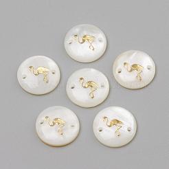 Соединители звеньев пресноводной раковины&nbsp;SHEL-Q009-G