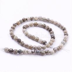 Argento naturale perline foglia diaspro fili&nbsp;G-G683-08-6mm