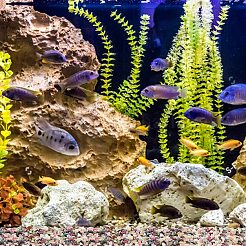 Натуральные разноцветные бусины из турмалина&nbsp;G-GA0001-31