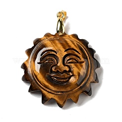 Природных тигровый глаз подвески&nbsp;G-E043-01B-12G