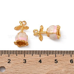Emaille Anhänger Legierung&nbsp;PALLOY-P317-02G-01