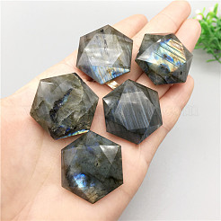 Natur Labradorit Cabochons&nbsp;G-PW0003-04